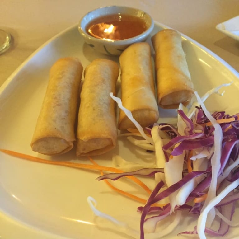 Savor Our Spring Rolls